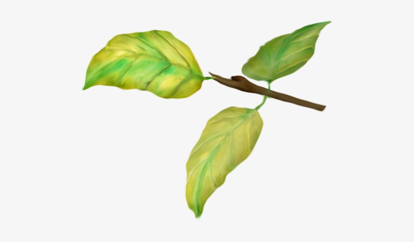 «nld Little Branch » On Yandex - Branch, transparent png download