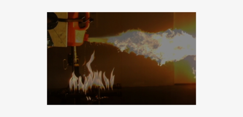 Atf Studies Fire Phenomenon That A Burned Baltimore - Deer, transparent png download