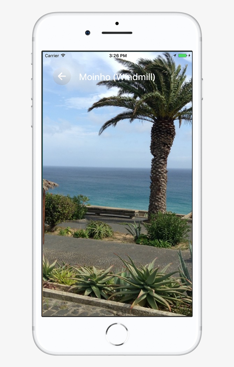 Moinho Porto Santo, Madeira - Madeira, transparent png download