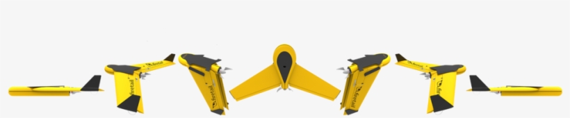 Firetail Footer - Portable Network Graphics, transparent png download