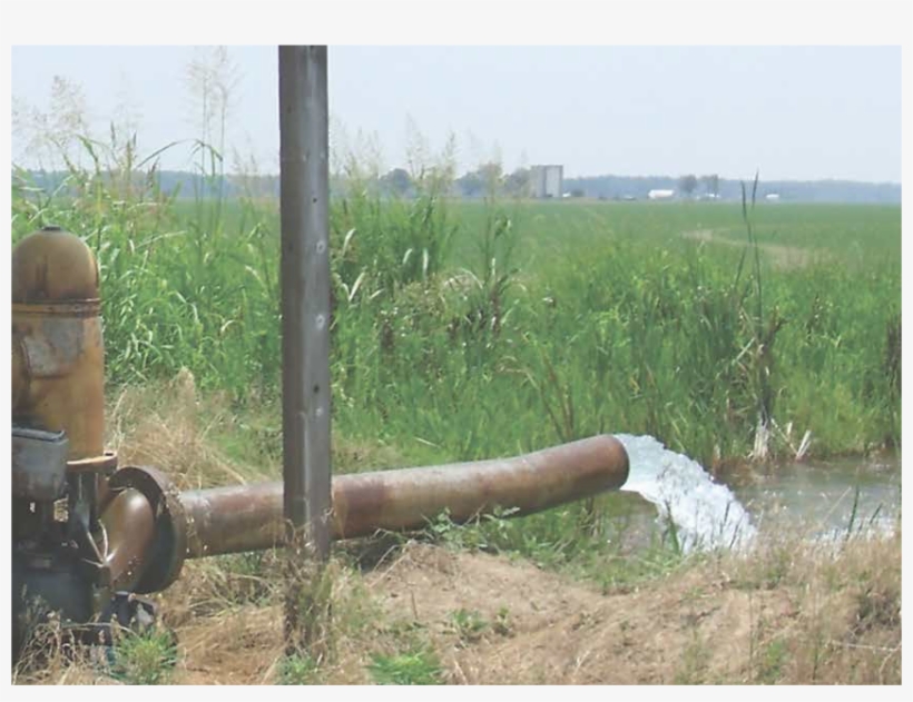 Detailed Description - Document, transparent png download