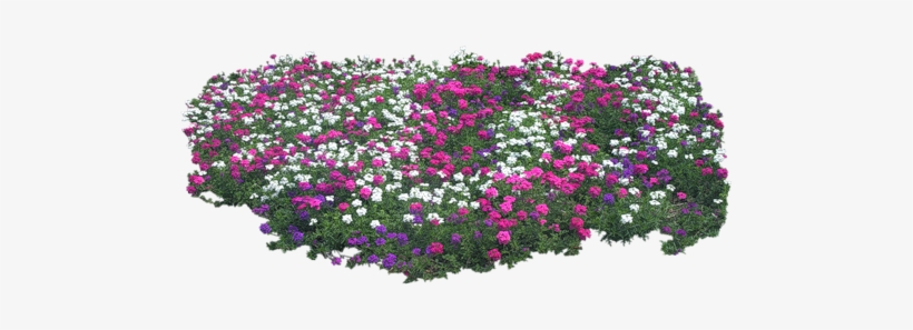 Cartoon Bushes Png Transparent, transparent png download