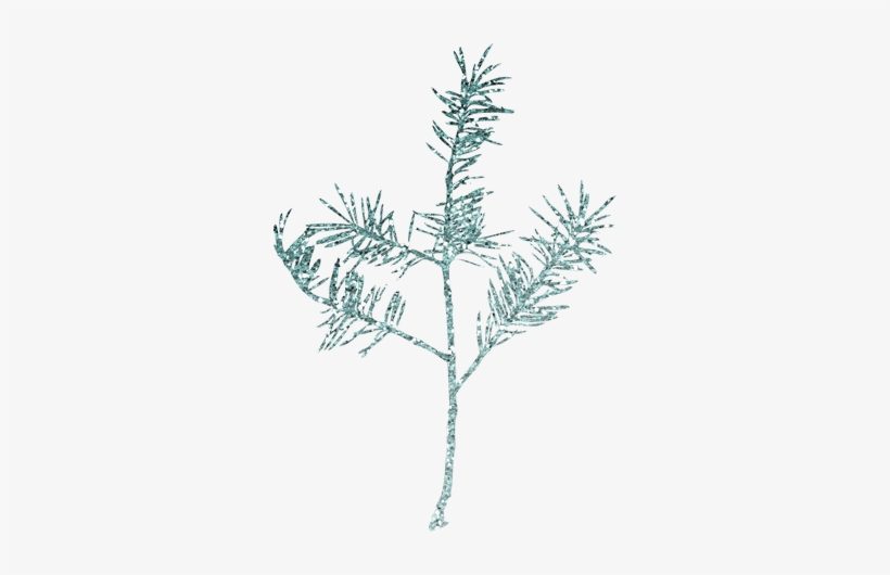 Wg-12 - Portable Network Graphics, transparent png download