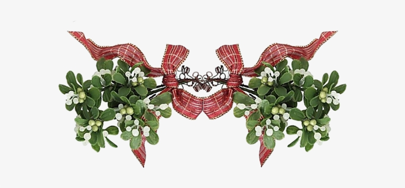 The Inside Of Mistletoe Berries Is Dangerous For The - Gui L An Neuf, transparent png download
