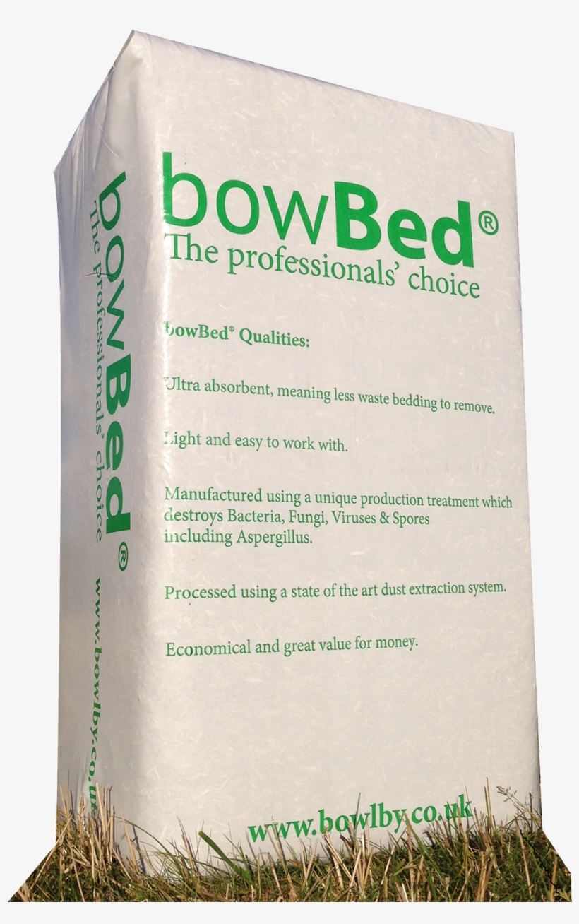 Grass, transparent png download