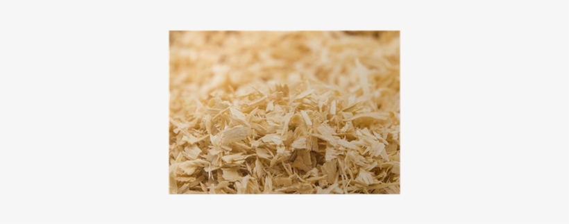 Wood, transparent png download