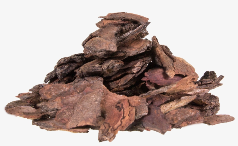 Biopolymers: Structure, Performance And Applications, transparent png download