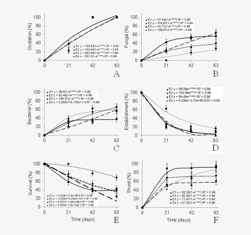 Figure 2 Results Of The In Vitro Establishment Of Nodal - Diagram, transparent png download
