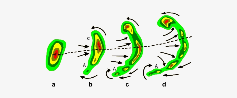 Típica Evolución De Un Eco De Radar De Una Tormenta - Mesoscale Convective Complex Formation, transparent png download