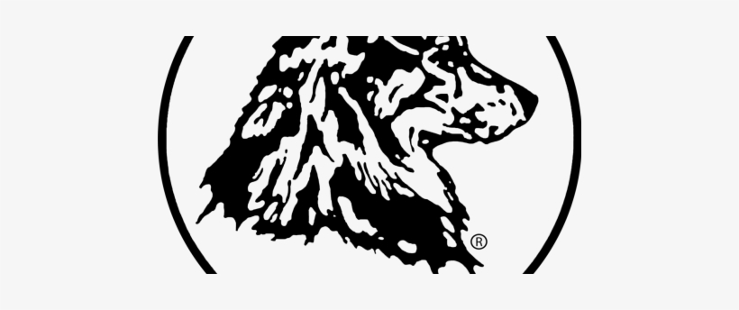 Australian Shepard Club Of America - Australian Shepherd, transparent png download