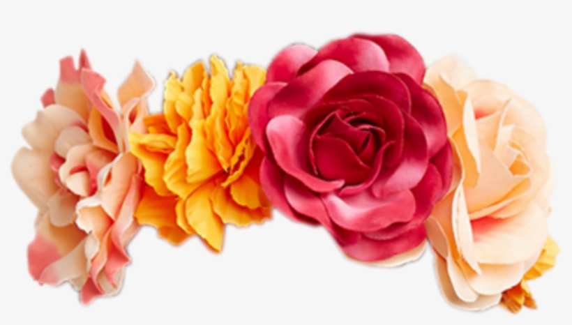 Garden Roses, transparent png download