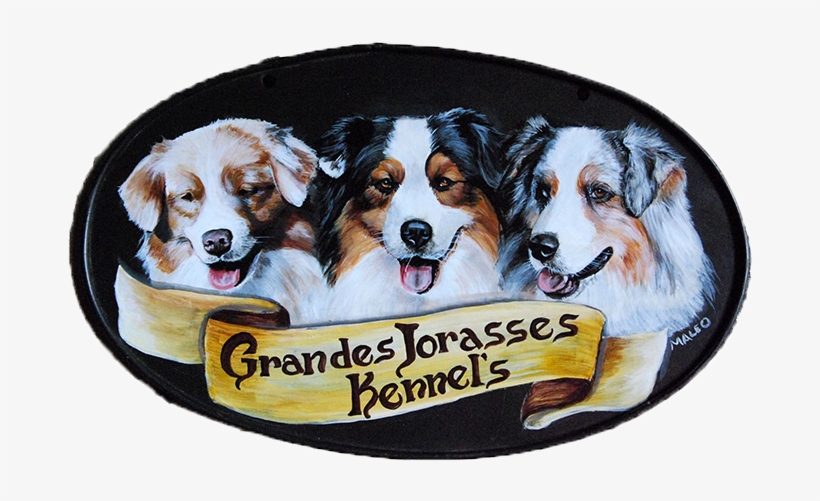 Strada Piscina, N° - Australian Shepherd, transparent png download