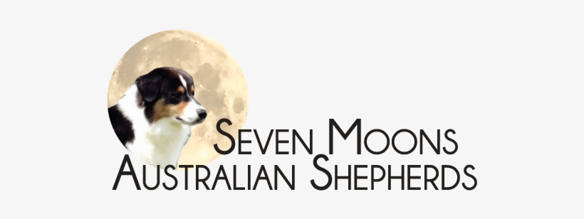 Logo, transparent png download