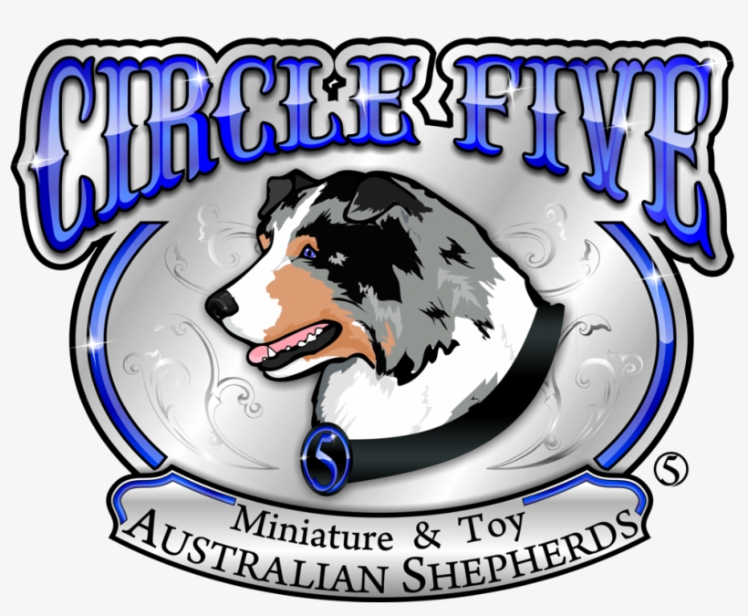 Click Here To See Our Available Babies - Infant, transparent png download