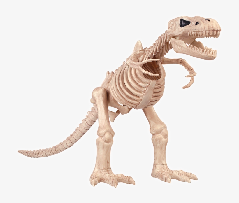 T-rex Skeleton - Halloween T Rex Skeleton, transparent png download