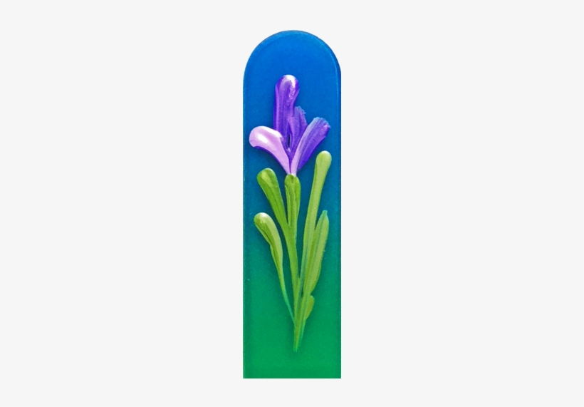 103000 Purple Iris - Crocus, transparent png download