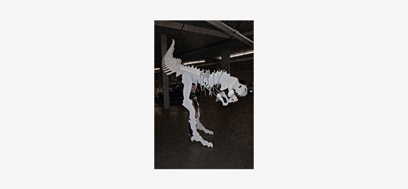 Triceratops, transparent png download