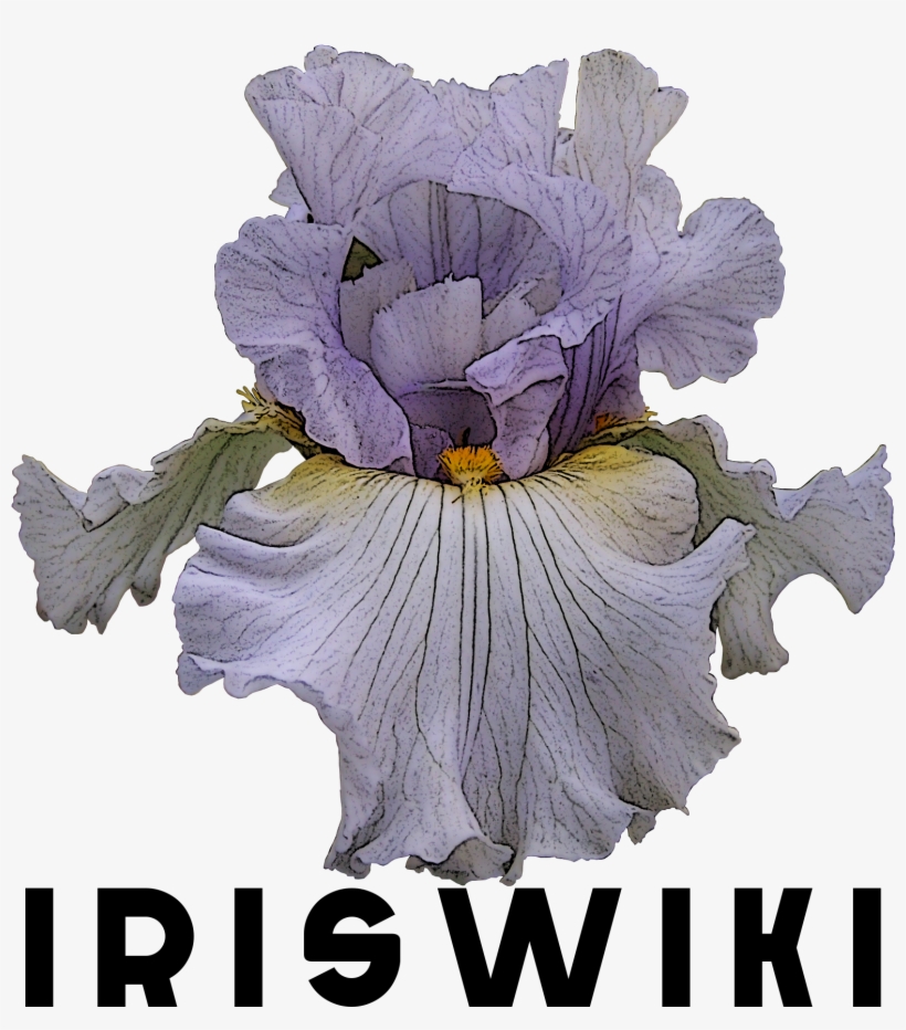 File - Logoiriswiki, transparent png download