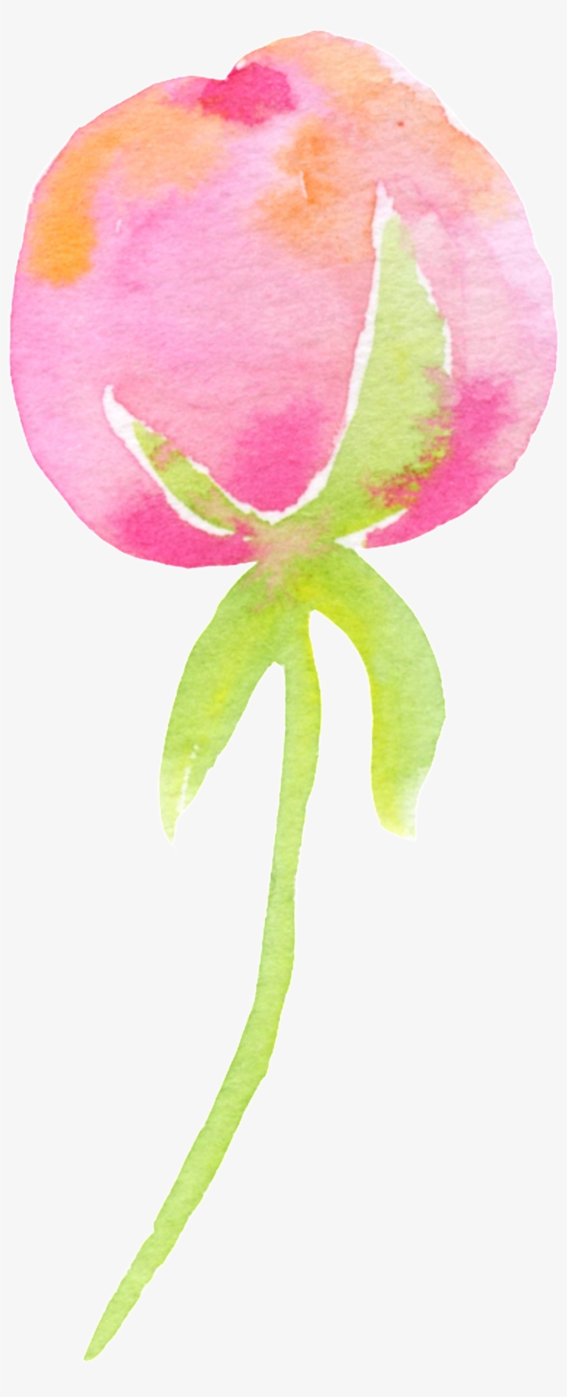 A Bunch Of Flowers Cartoon Transparent - Cartoon, transparent png download
