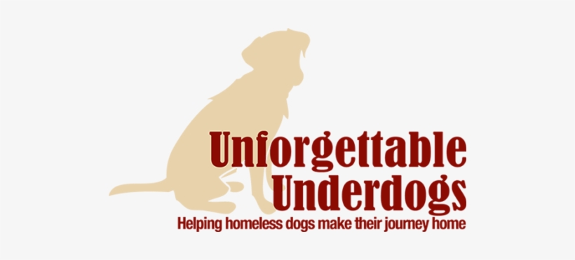 Cropped Unforgettable Underdog Logo 580px - Colonial India Predatory State: Emergence Of New Social, transparent png download