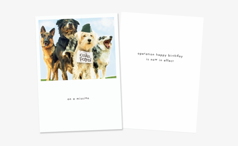 Working Dog, transparent png download