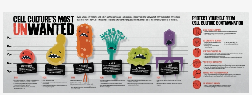 Like This Article Click Here To Subscribe To Free Newsletters, transparent png download