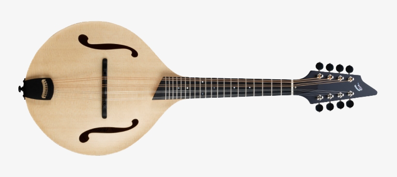 Ibanez Af 105 Custom, transparent png download