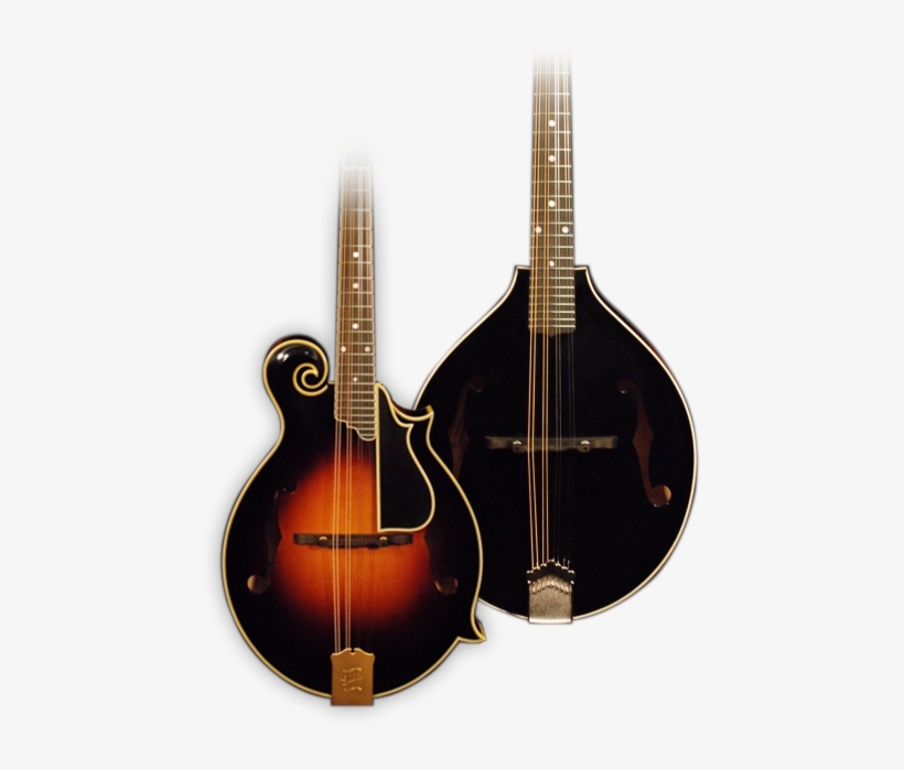 Ellis Mandolins - Mandolin, transparent png download