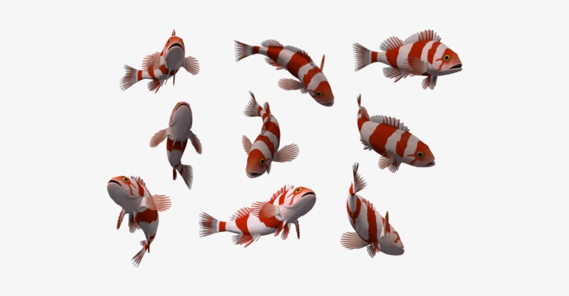 Fish - 10 Fish Png, transparent png download