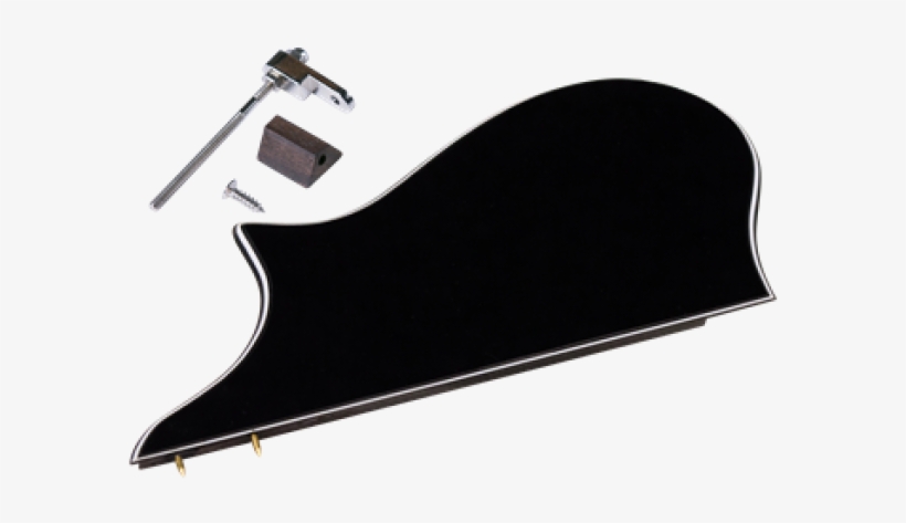 F-model Mandolin Pickguard - Golden Gate M-401a F-style Mandolin Pickguard Assembly, transparent png download