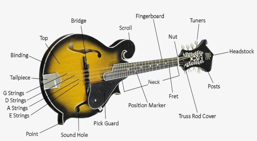 Mandolin Quality - Mandolin Parts, transparent png download