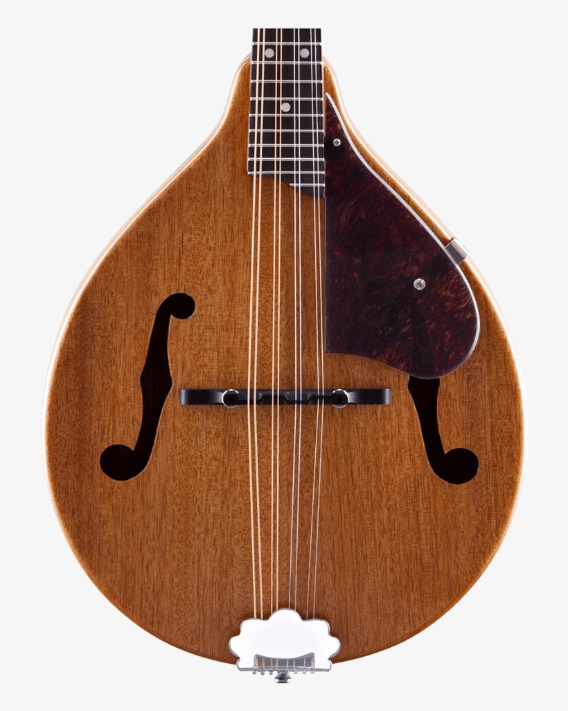 Gretsch Mandolin, transparent png download