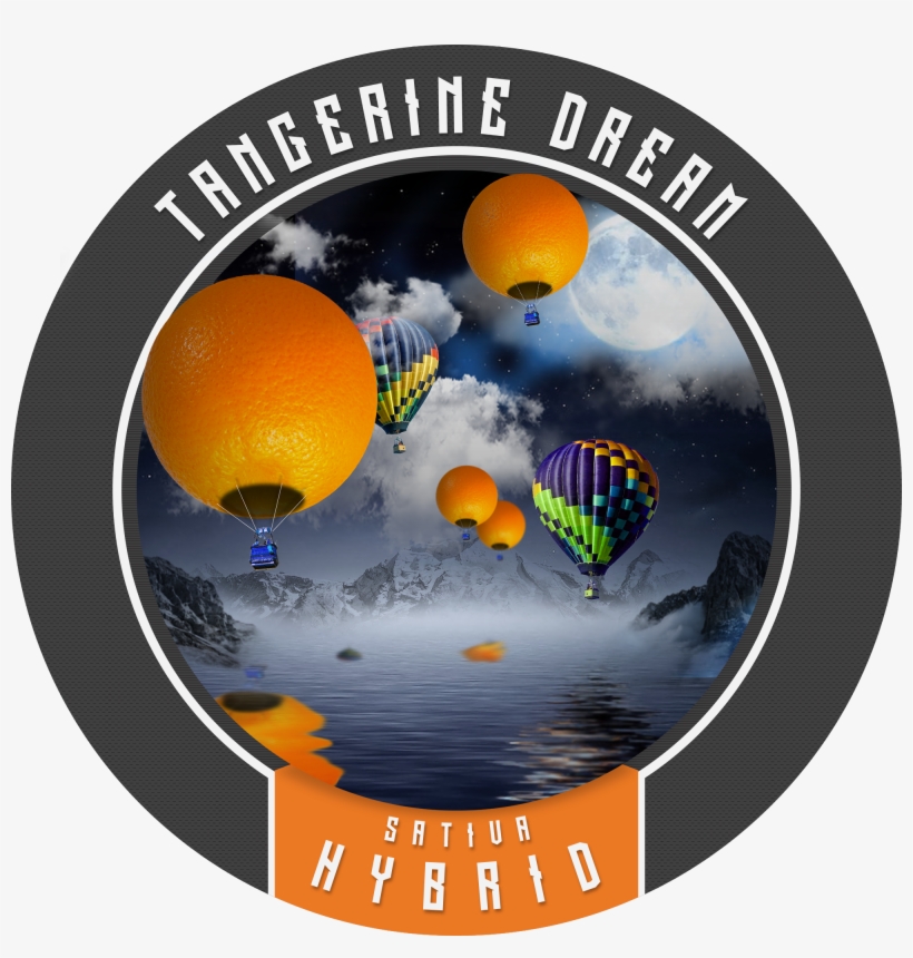 This Is A Fun Smoke, transparent png download