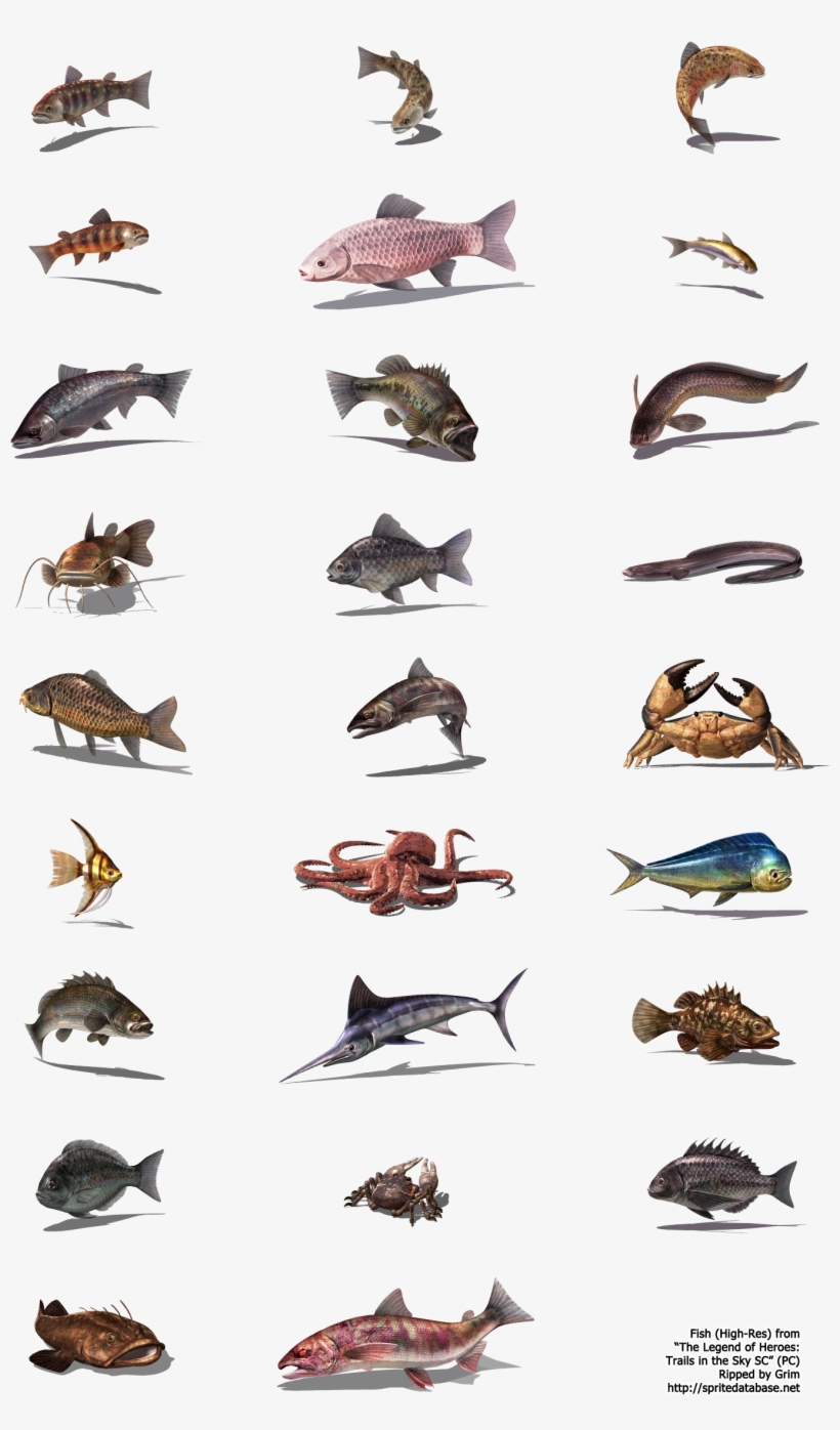 Click To View Full Size - Database, transparent png download