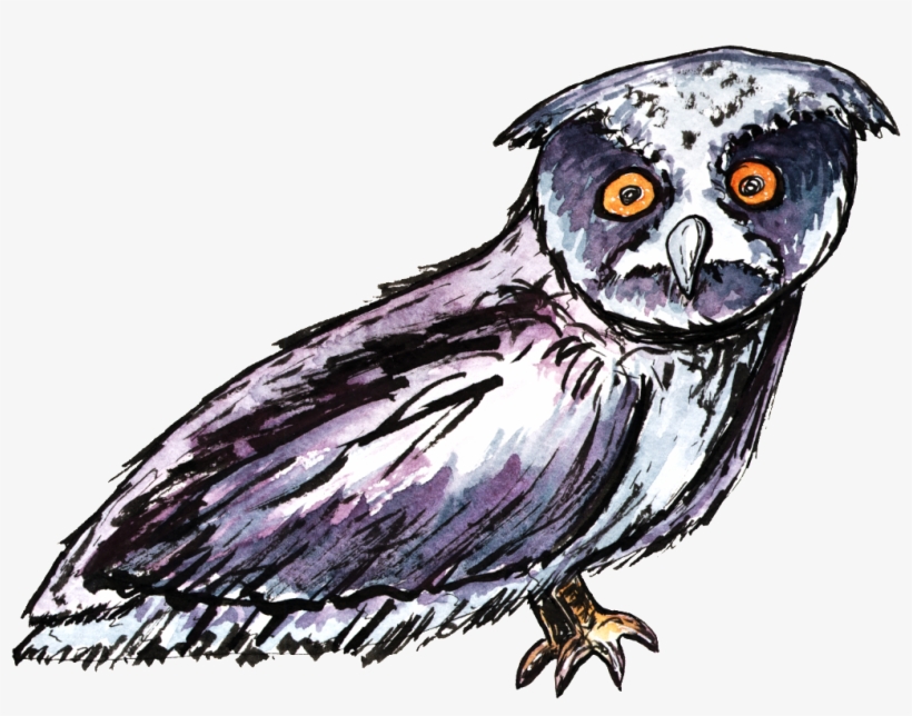 Watercolor Owl Cartoon Transparent - Portable Network Graphics, transparent png download