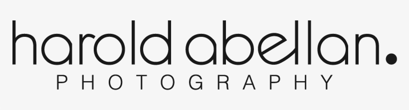 Home - Portfolio - Music, transparent png download