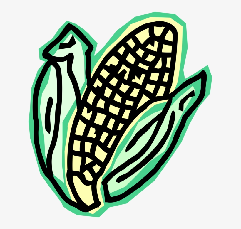Vector Illustration Of Corn On The Cob Grain Plant, transparent png download