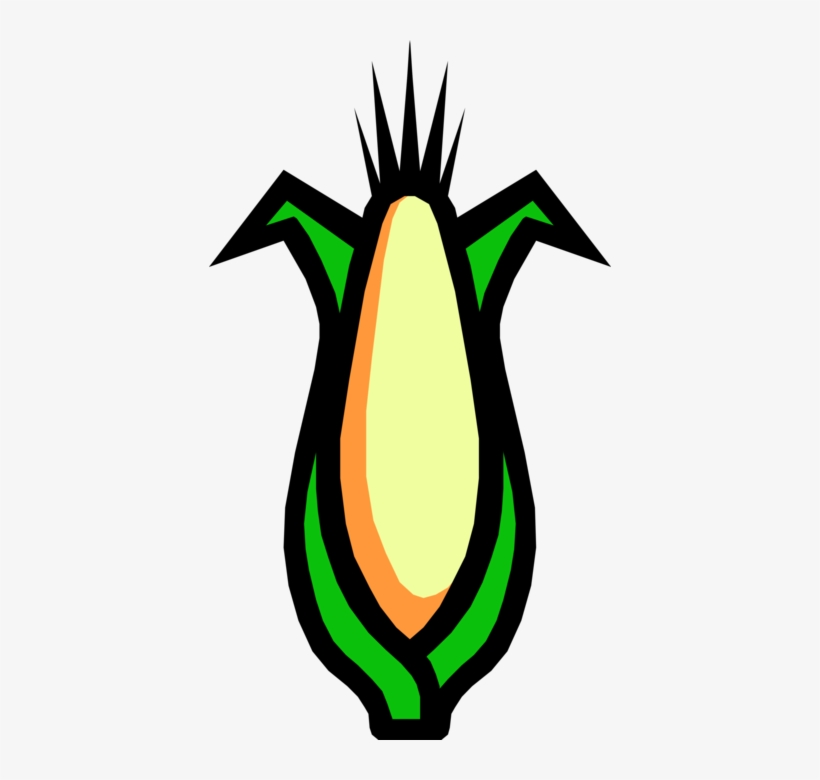 Vector Illustration Of Sweet Corn On The Cob Grain, transparent png download