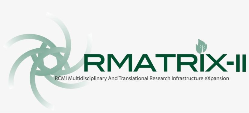 Rmatrix-ii Logo With Text - Graphic Design, transparent png download