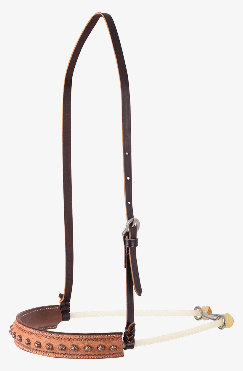 Noseband, transparent png download