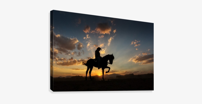 Western Cowboys Riding Horses, Roping Wild Horses Canvas - Cowboys Riding On Horse, transparent png download