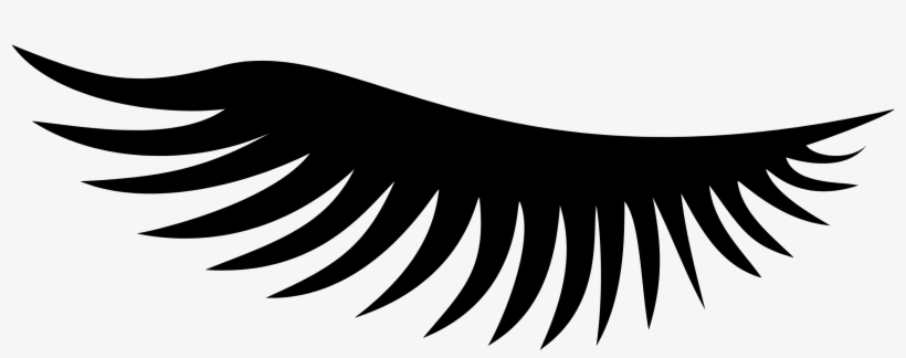 Eyelash, transparent png download