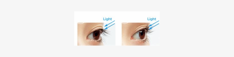 Straight Eyelashes Light Curled Eyelashes - ケイト クセ 付け フォーマー, transparent png download