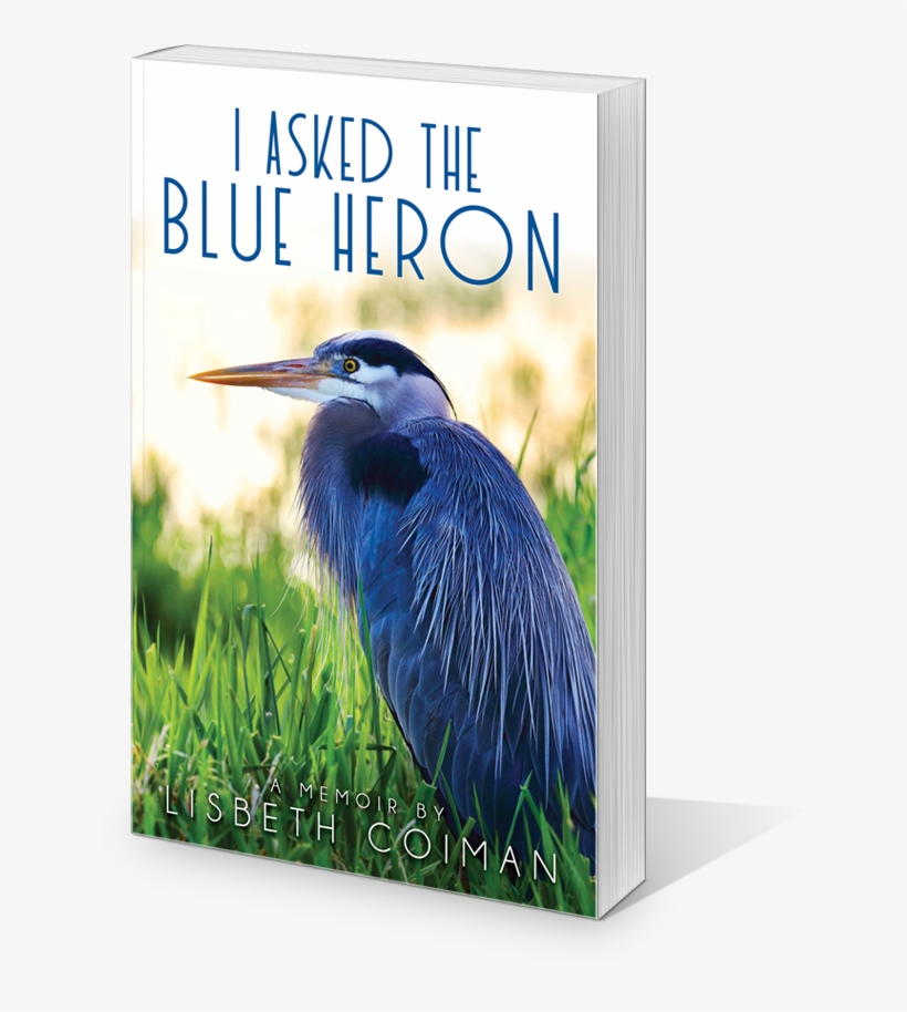 I Asked The Blue Heron - Great Blue Heron, transparent png download