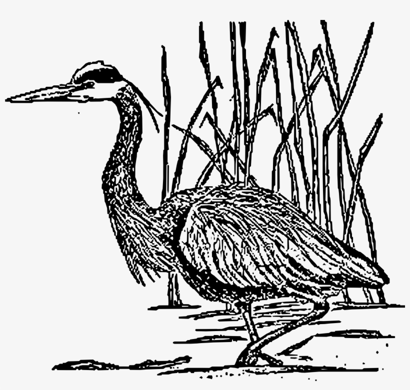This Free Icons Png Design Of Great Blue Heron, transparent png download