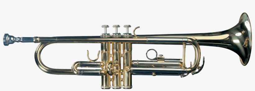 Instrumentos Viento-metal Sml Paris Trompeta Sib Tp300 - Trompeta Sib Sml Tp300, transparent png download