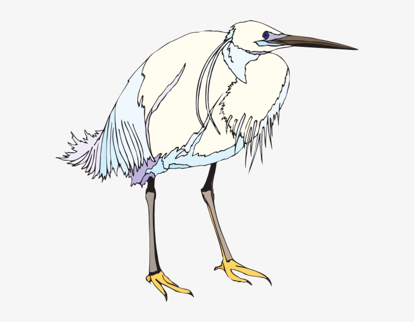 Heron, transparent png download