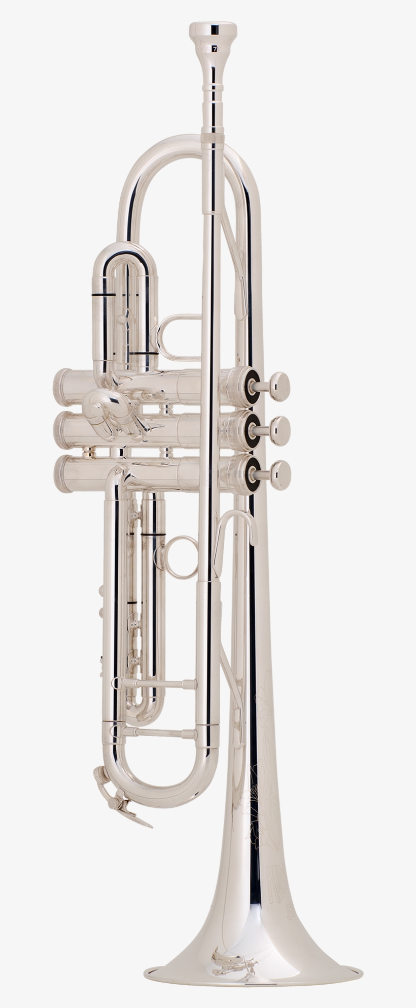 2055s Trumpet - Types Of Trombone, transparent png download