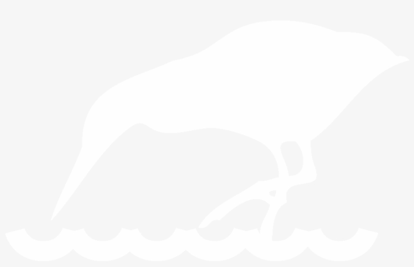 All About Birds, transparent png download