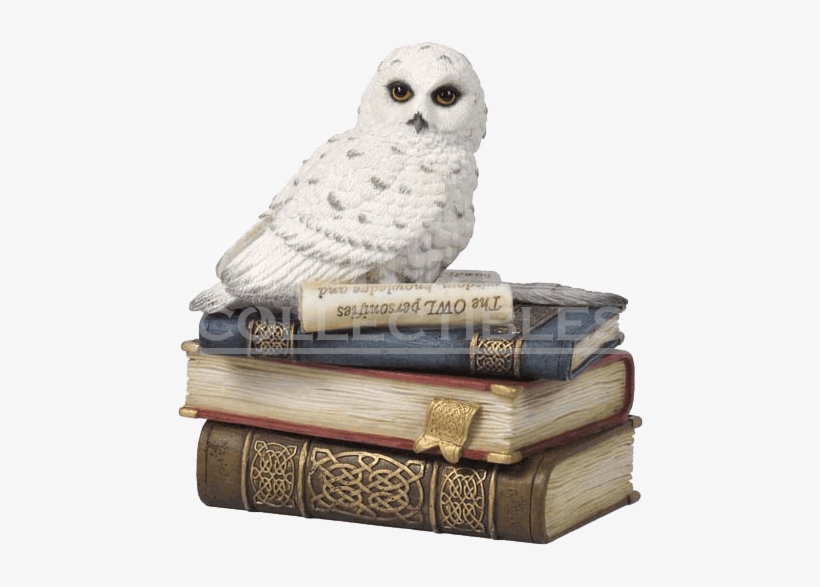 Snow Owl On Books Trinket Box - Snow Owl On Books Trinket Box By Veronese, transparent png download